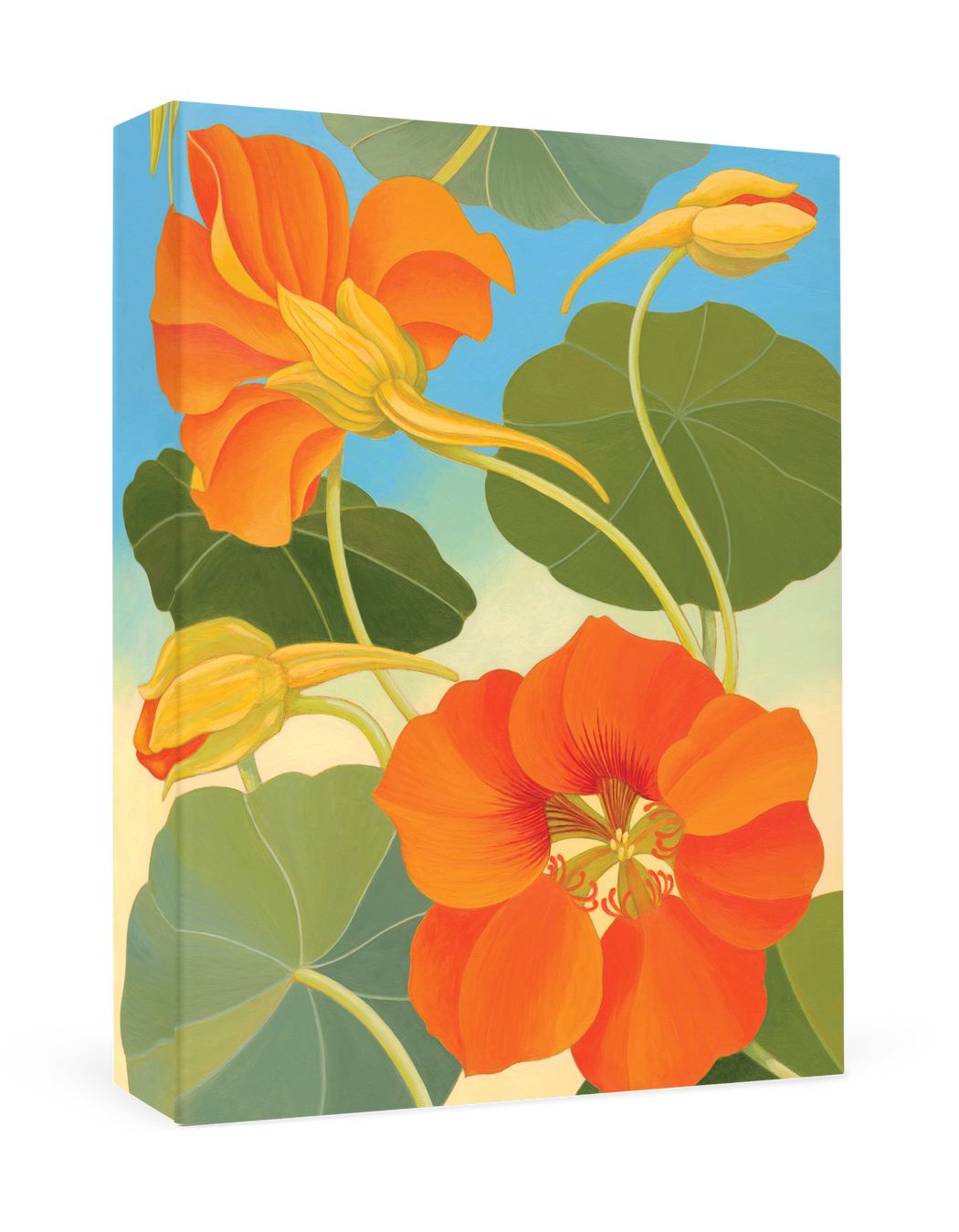 Siri Schillios: Nasturtium Boxed Thank You Notes_Primary