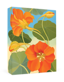 Siri Schillios: Nasturtium Boxed Thank You Notes_Primary