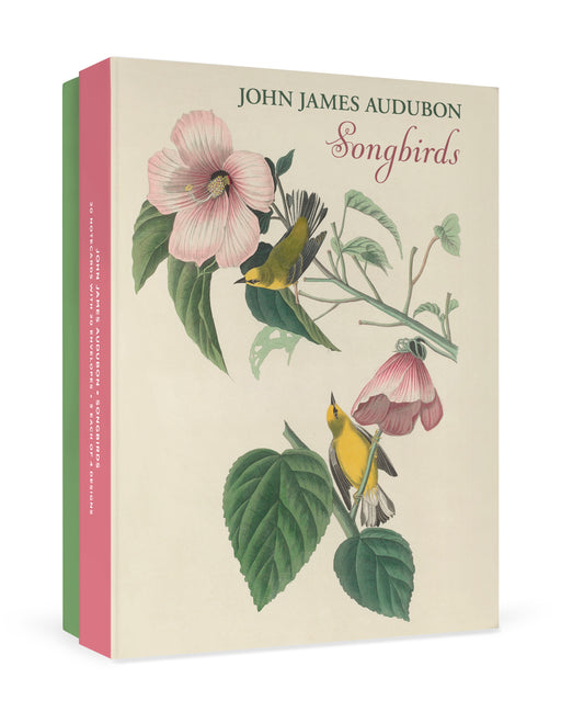 John James Audubon: Songbirds Boxed Notecard Assortment_Front_3D