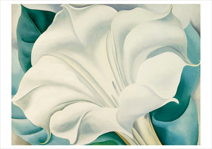 Georgia O'Keeffe Boxed Notecard Assortment_Interior_2