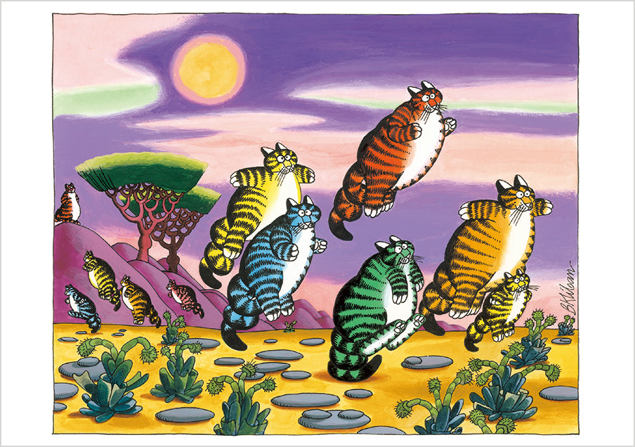 B. Kliban: CatFun Boxed Notecard Assortment_Interior_1