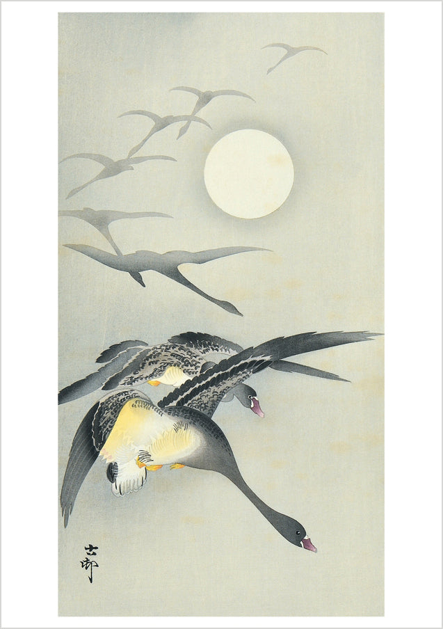 Ohara Koson (Shōson): Geese and the Moon Notecard_Front_Flat