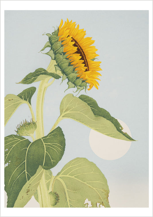 Kate Krasin: Sunflower Notecard_Front_Flat