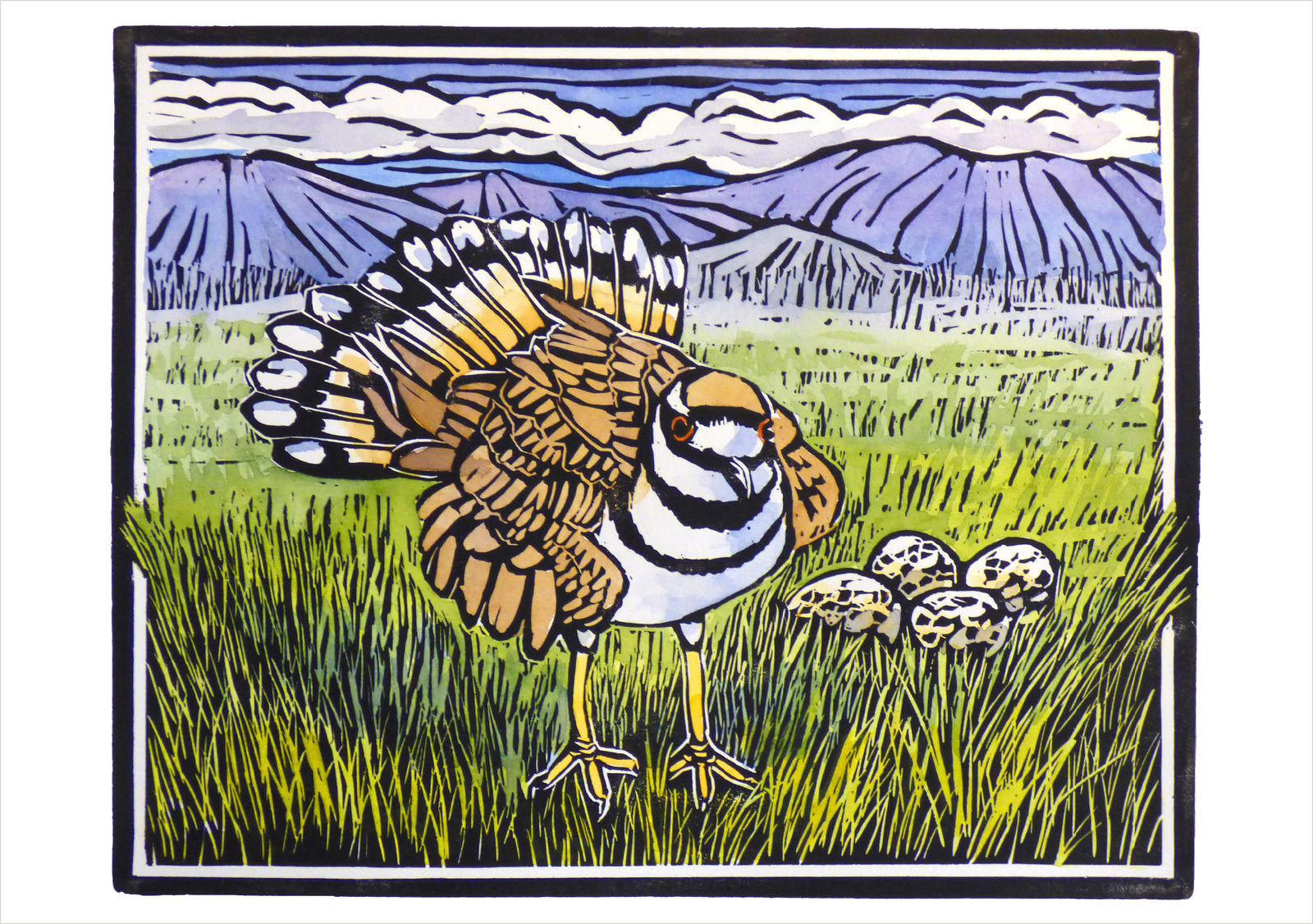 Molly Hashimoto: Killdeer and Eggs Notecard_Front_Flat