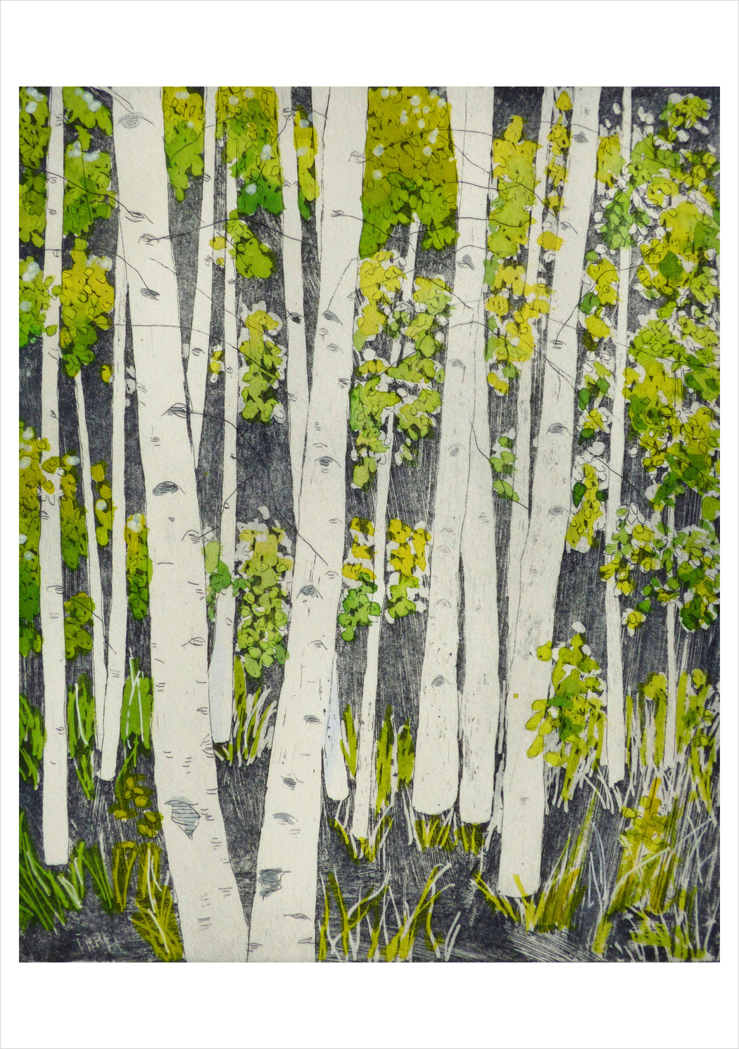 Molly Hashimoto: Aspens, Springtime Notecard_Front_Flat