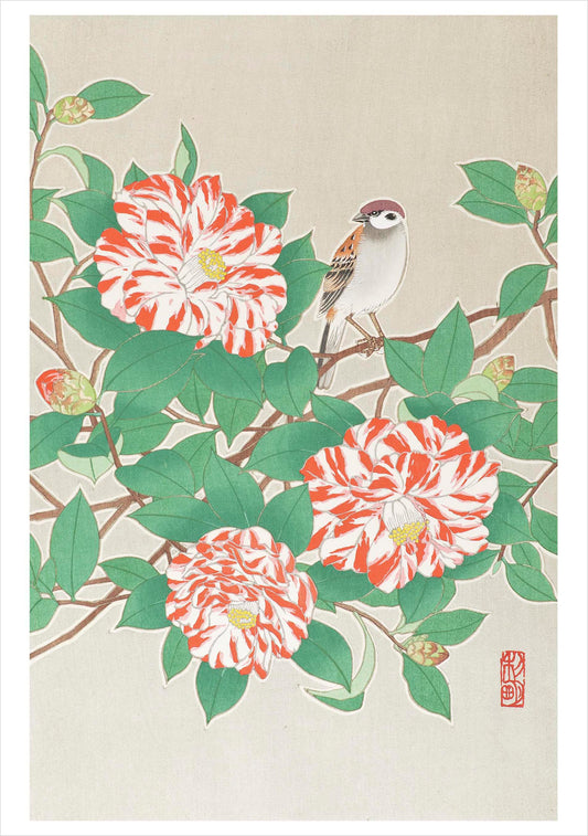 Sparrow on Red and White Camellia Notecard_Front_Flat