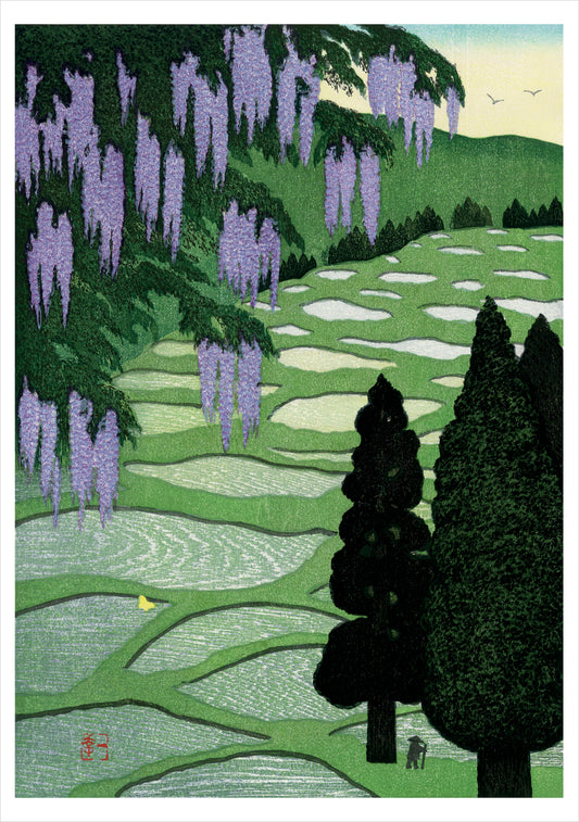 Kazuyuki Ohtsu: Wisteria in Bloom in Mountain Area Notecard_Front_Flat