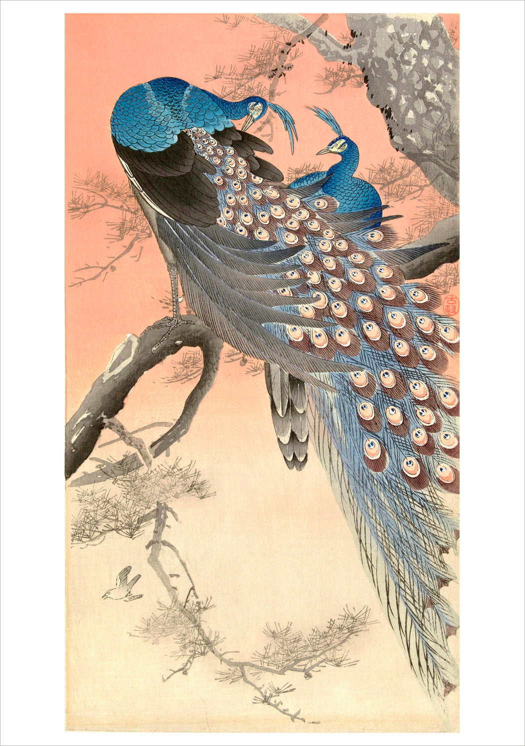 Ohara Koson (Shōson): Two Peacocks on the Branch of a Tree Notecard_Front_Flat