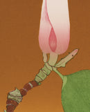 Beth Van Hoesen: Magnolia Bud Bookmark_Zoom