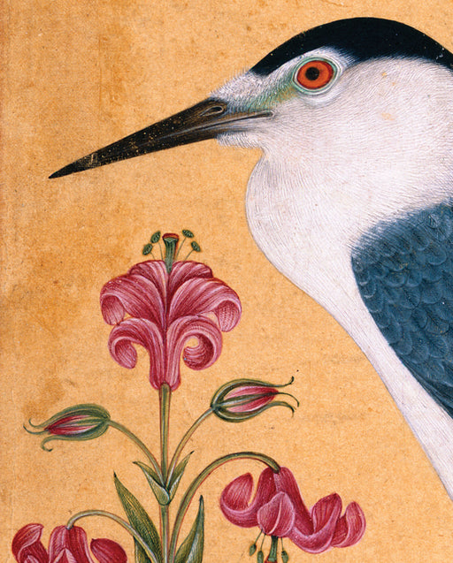 A Night Heron Bookmark_Zoom