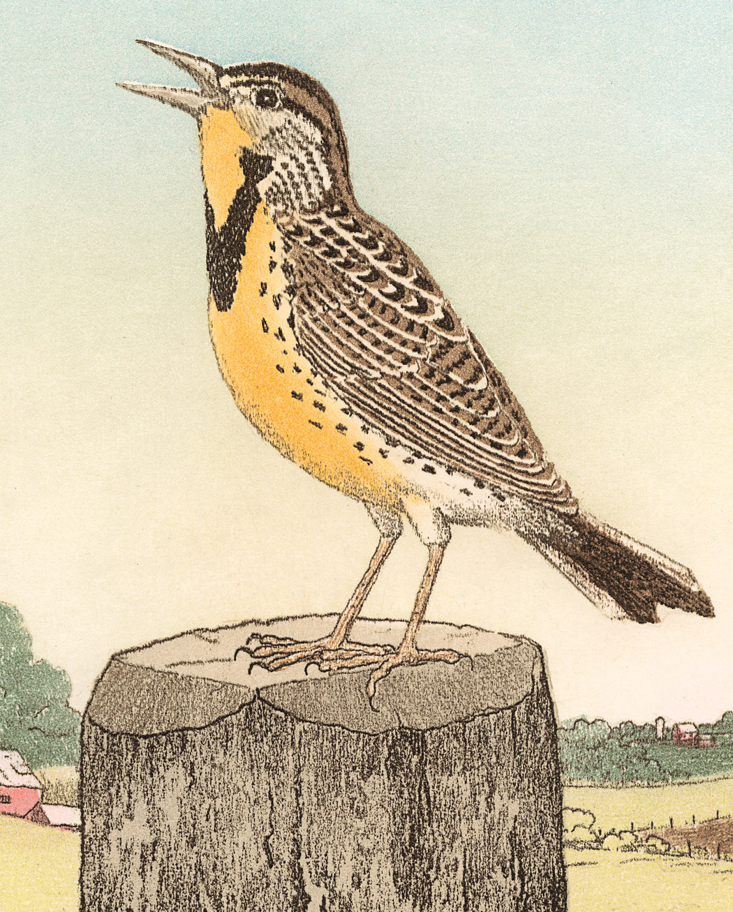 Maurice R. Bebb: Meadowlark Bookmark_Zoom