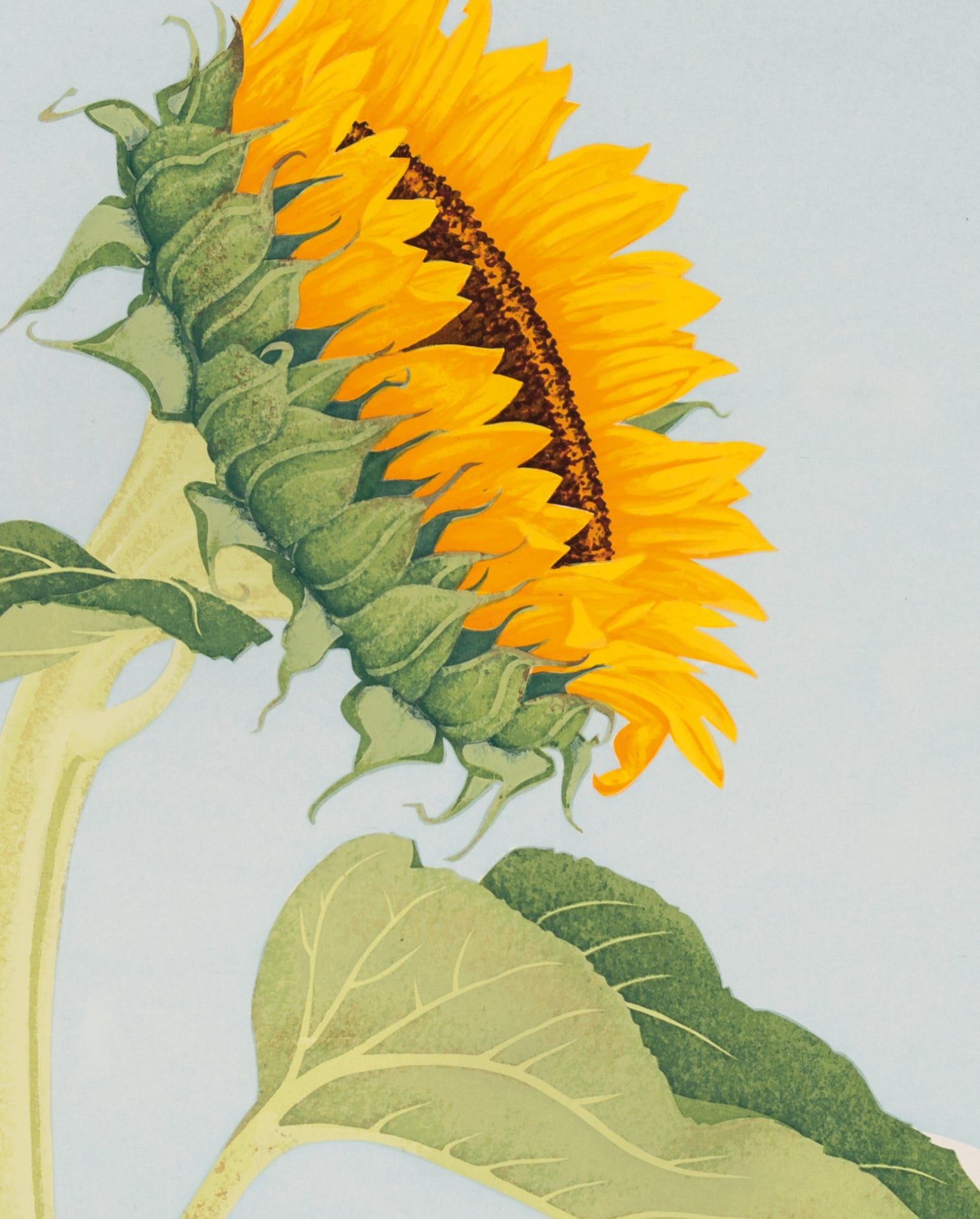 Kate Krasin: Sunflower Bookmark_Zoom