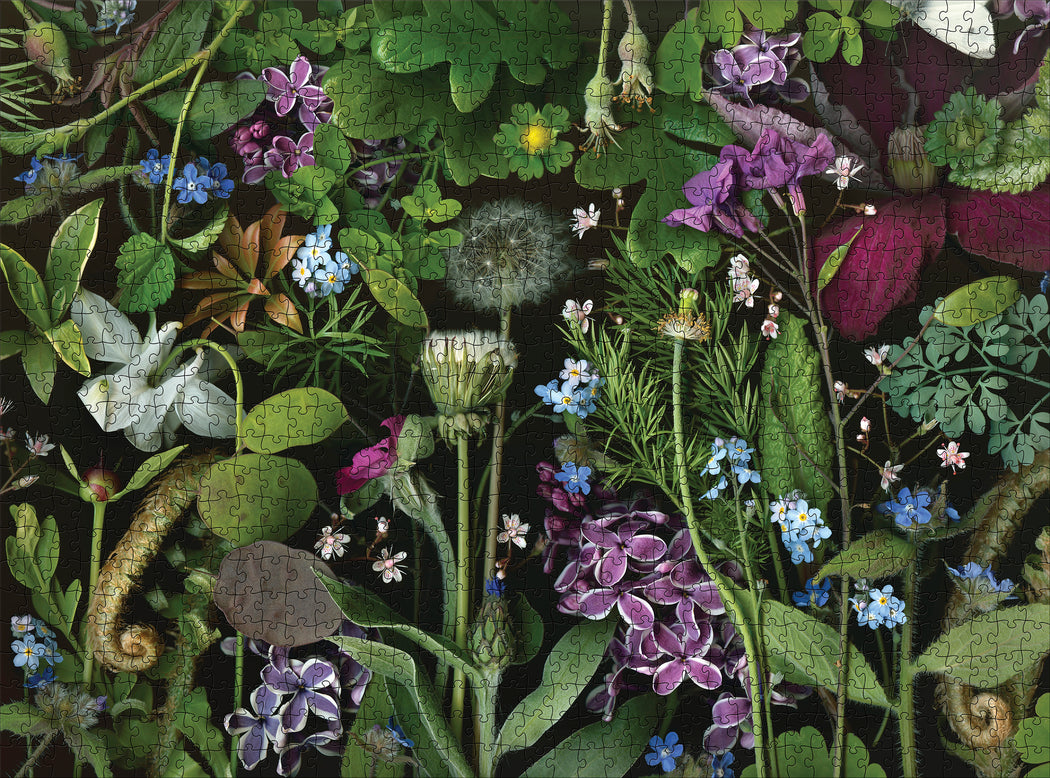 Deb Stoner: Siri's Lilac 1000-Piece Jigsaw Puzzle_Zoom