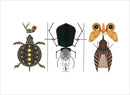 Charley Harper: The Animal Kingdom Book of Postcards_Interior_2