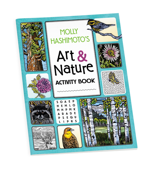 Molly Hashimoto’s Art & Nature Activity Book_Primary