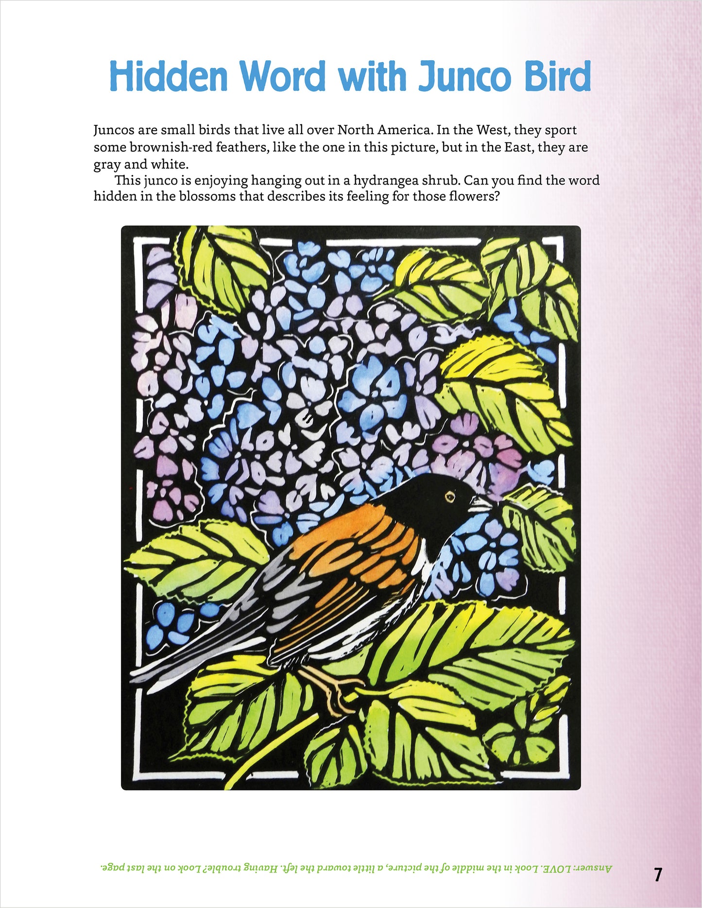 Molly Hashimoto’s Art & Nature Activity Book_Interior_3