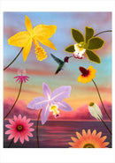 L. C. Armstrong: Hummingbirds Boxed Notecard Assortment_Interior_4