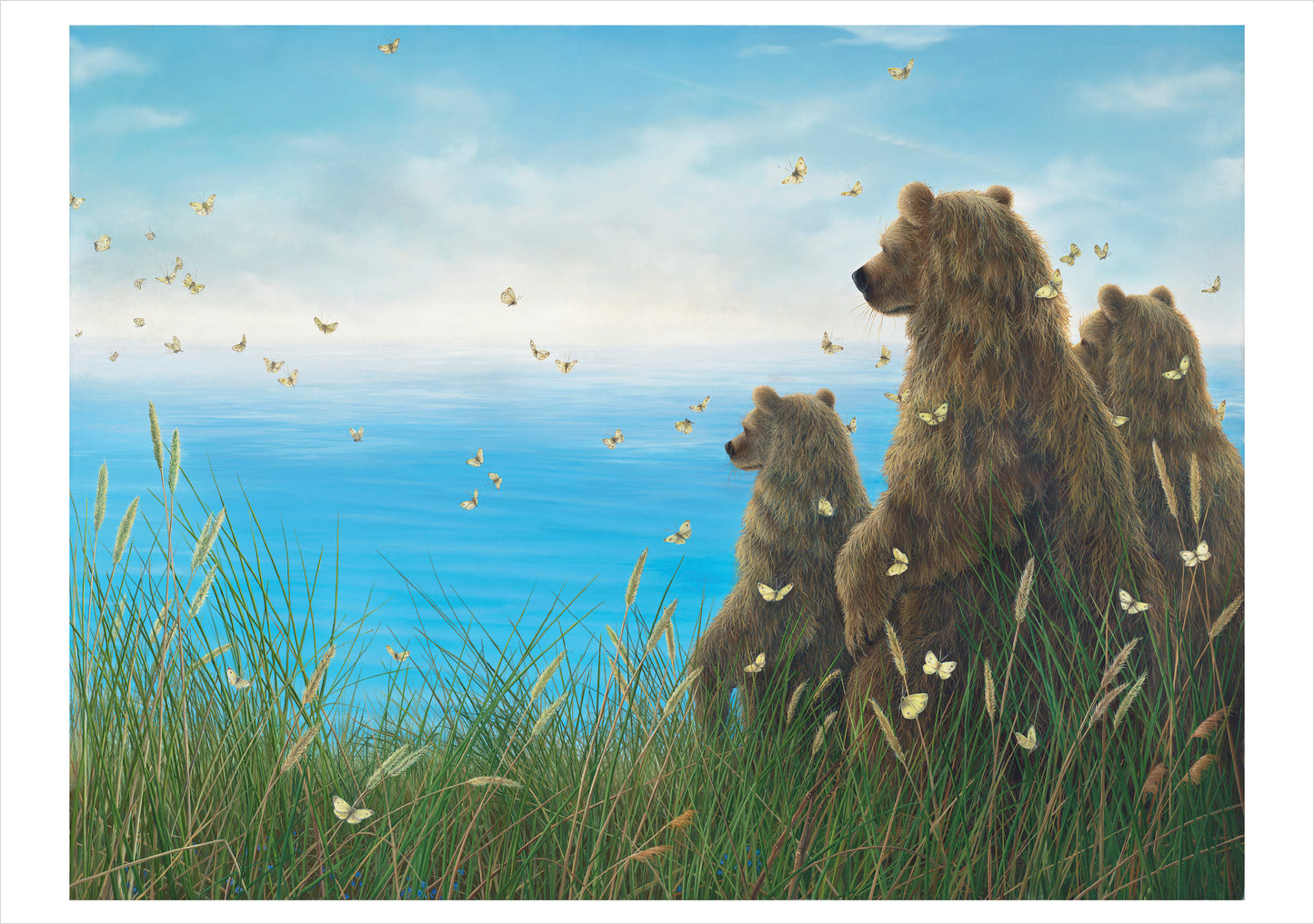 Robert Bissell: Spirit Boxed Notecard Assortment_Interior_2