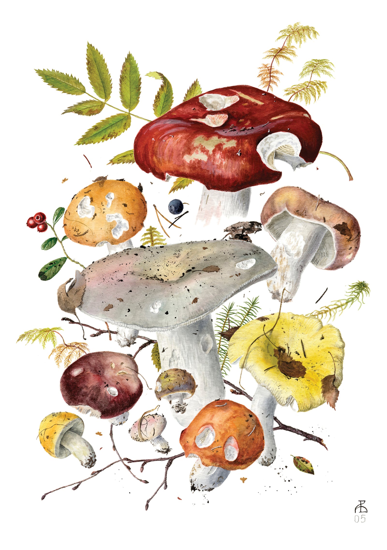 Mushrooms: Alexander Viazmensky Boxed Notecard Assortment_Interior_2