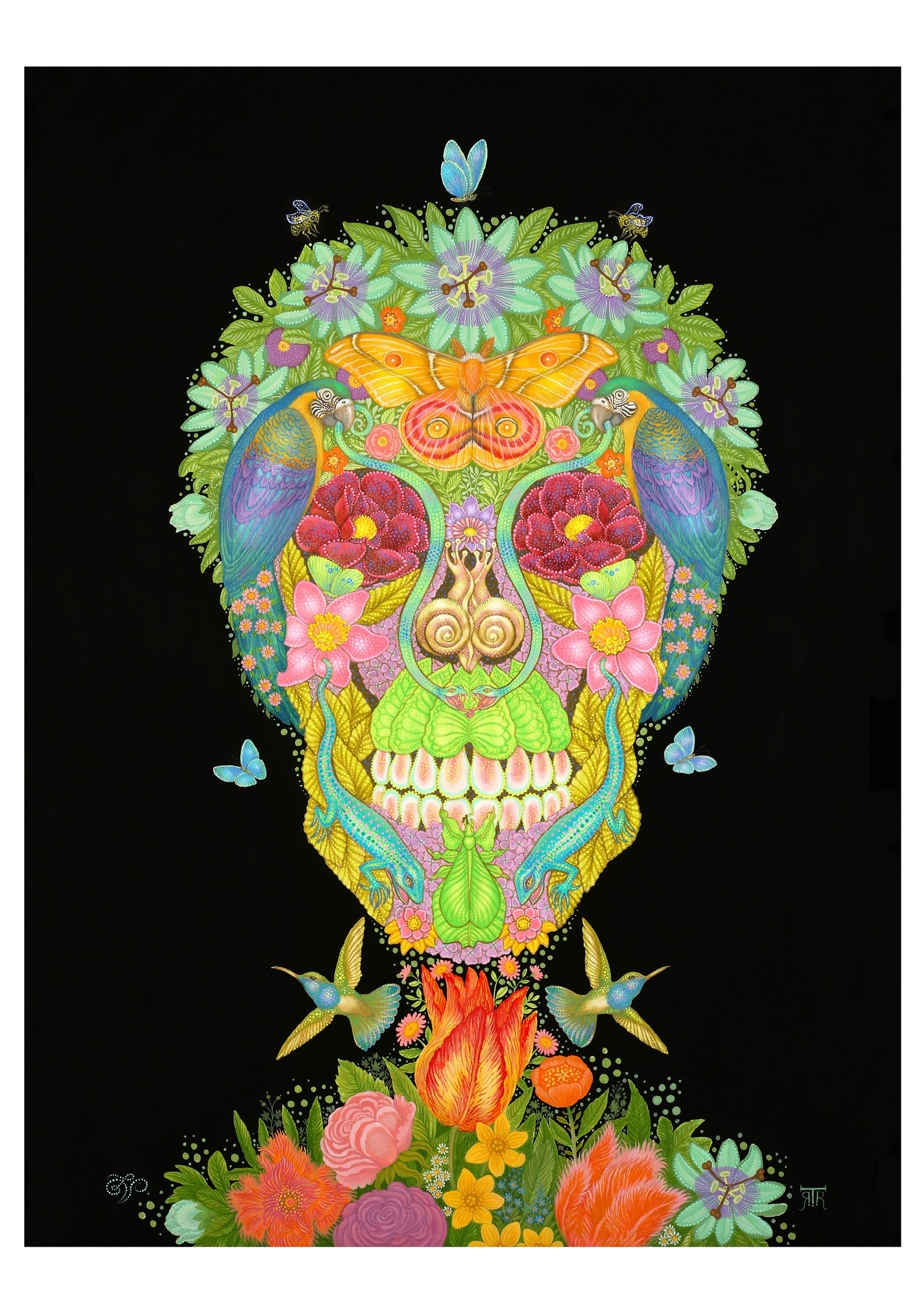 Day of the Dead: Tino Rodriguez & Virgo Paraiso Boxed Notecard Assortment_Interior_4