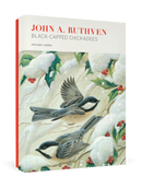 John Ruthven: Black Capped Chickadees Holiday Cards_Primary