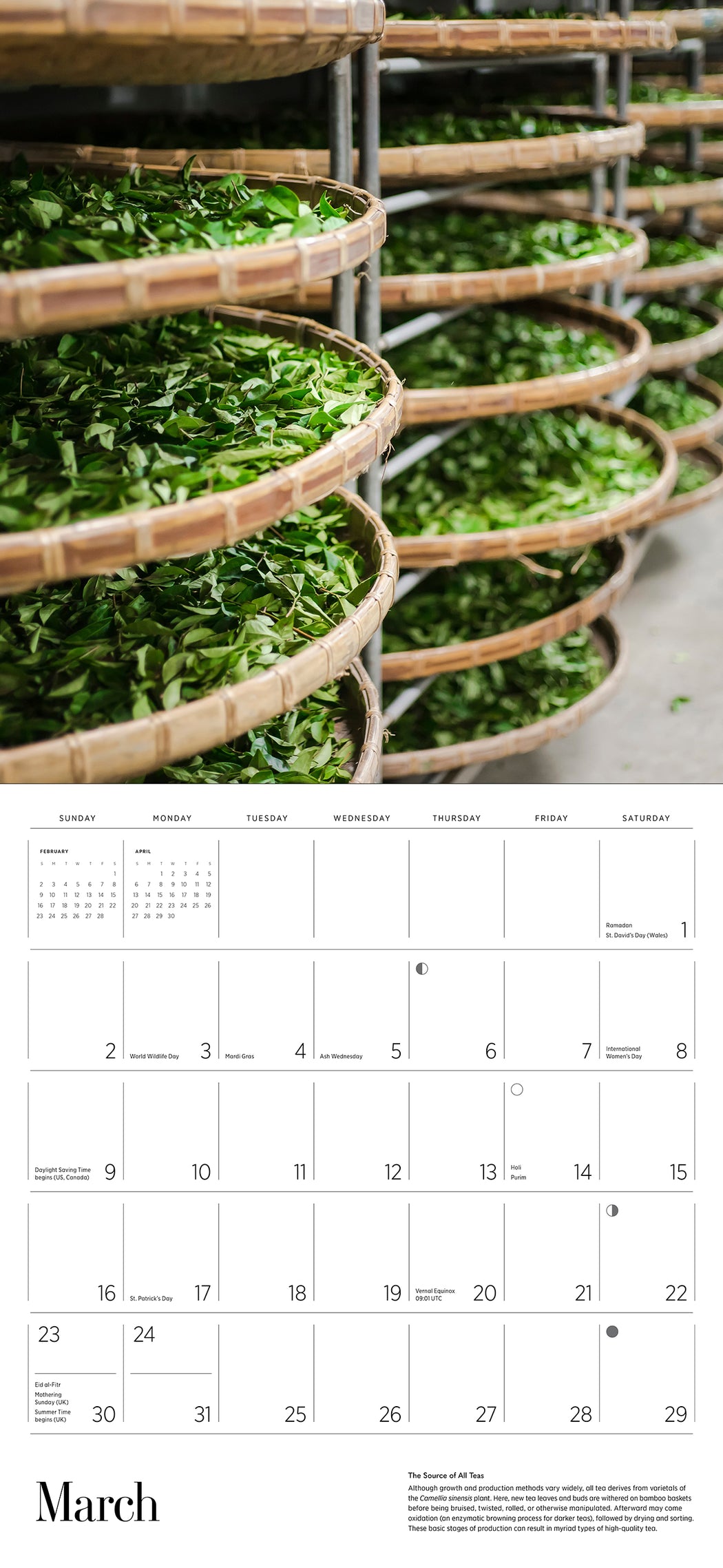 Tea 2025 Wall Calendar_Interior_1