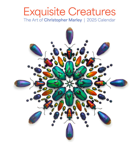 Exquisite Creatures: The Art of Christopher Marley 2025 Wall Calendar_Front_Flat