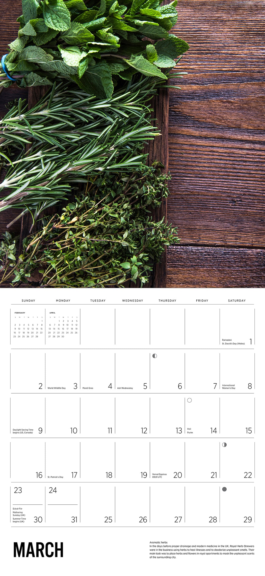 Herbs 2025 Wall Calendar_Interior_2