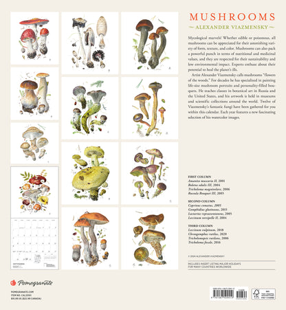 Mushrooms: Alexander Viazmensky 2025 Wall Calendar_Back_Multipiece