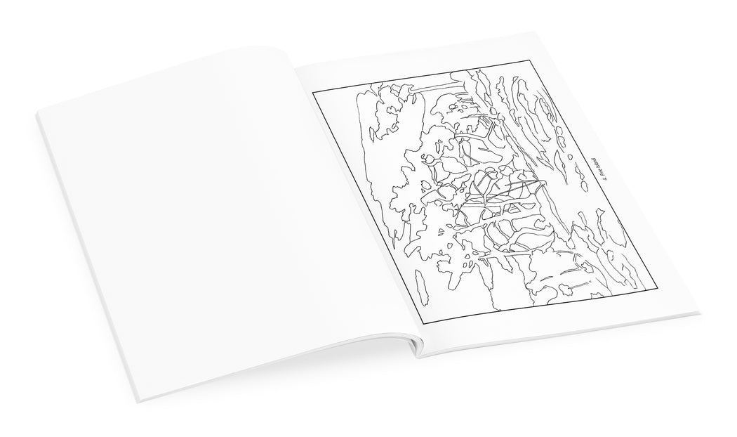 Tom Thomson Coloring Book_Interior_2