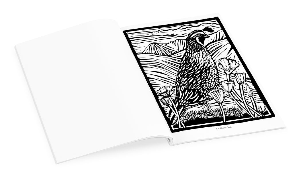 Molly Hashimoto: Birds Coloring Book_Interior_1