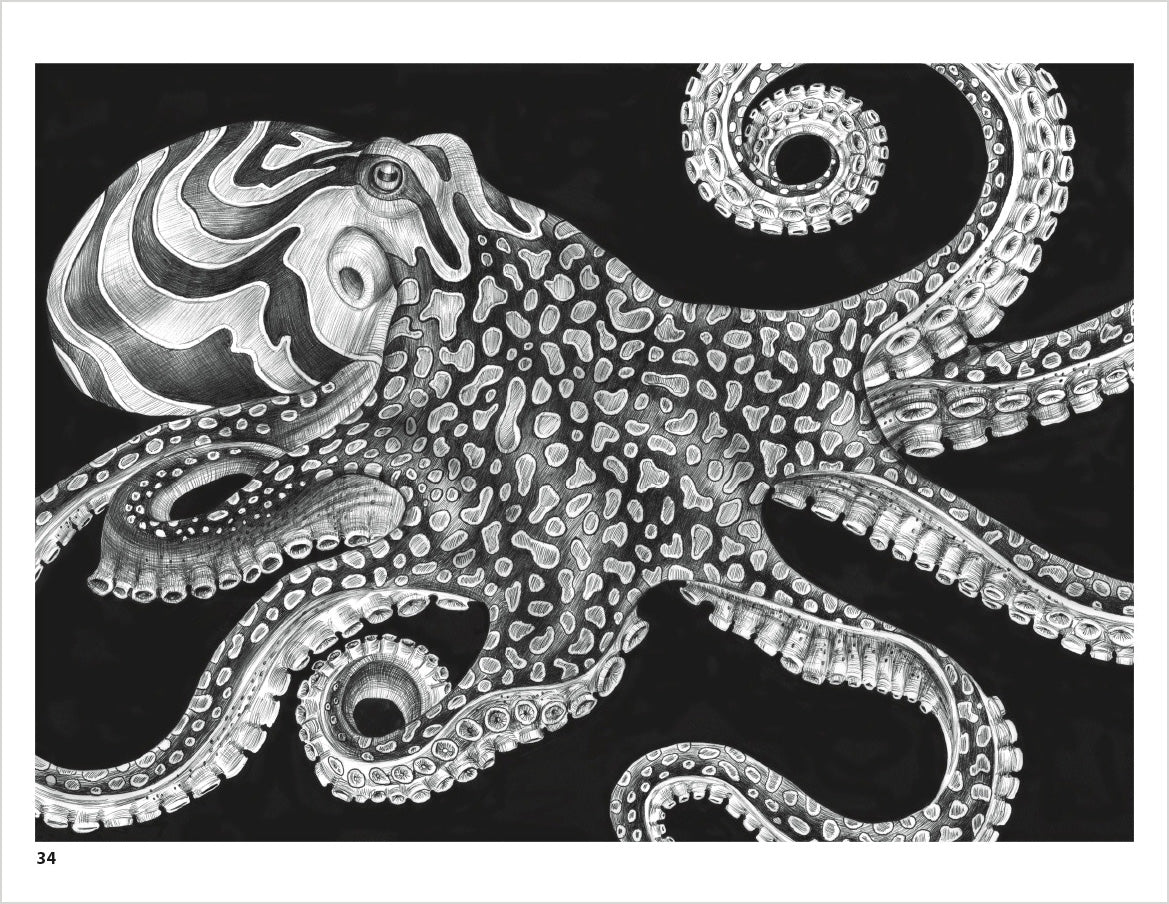 Intricate Ink: Animals in Detail Coloring Book_Interior_2