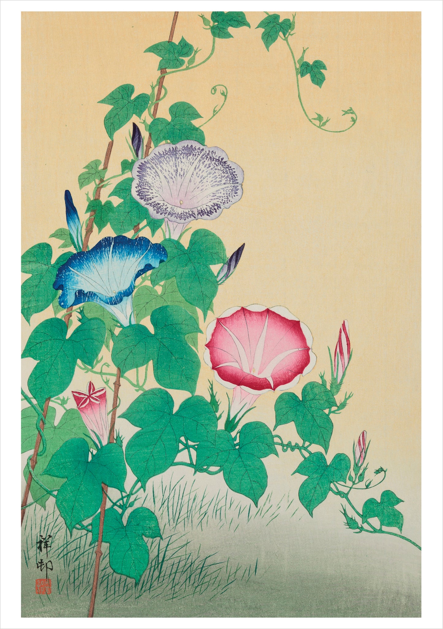 Ohara Koson (Shosōn): Morning-Glories Birthday Card_Front_Flat