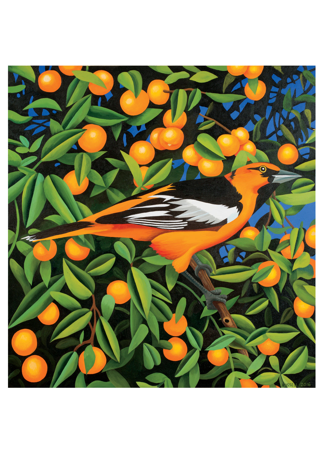 Billy Hassell: Tangerines Birthday Card_Front_Flat