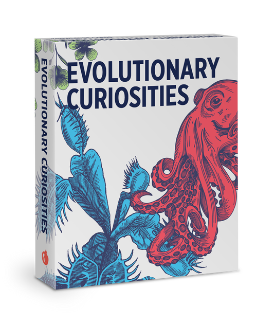 Evolutionary Curiosities Knowledge Cards_Primary