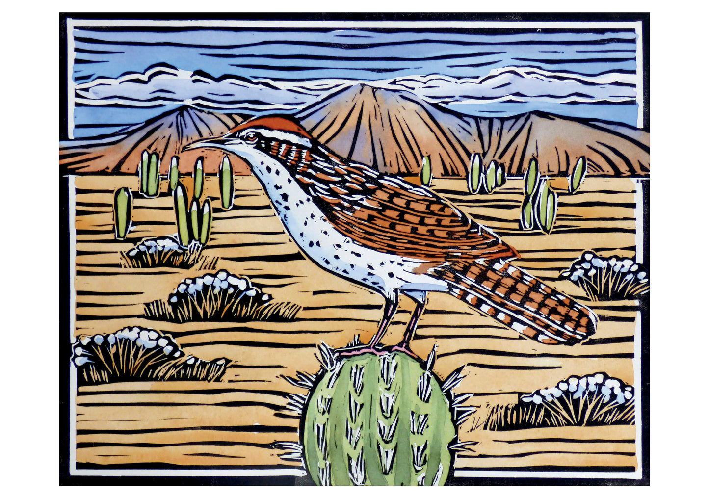 Molly Hashimoto: Cactus Wren Notecard_Front_Flat