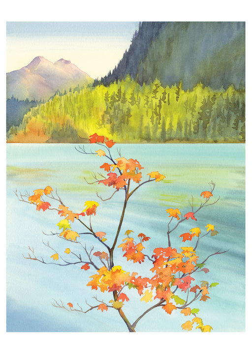 Molly Hashimoto: Vine Maple Notecard_Front_Flat